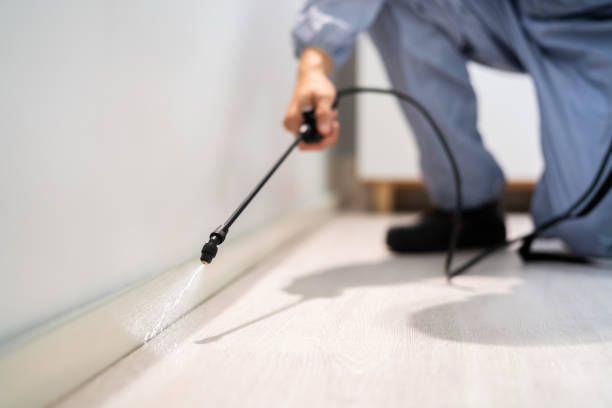 Licensed Pest Control service in Bellville, OH - Show Me Pest Control