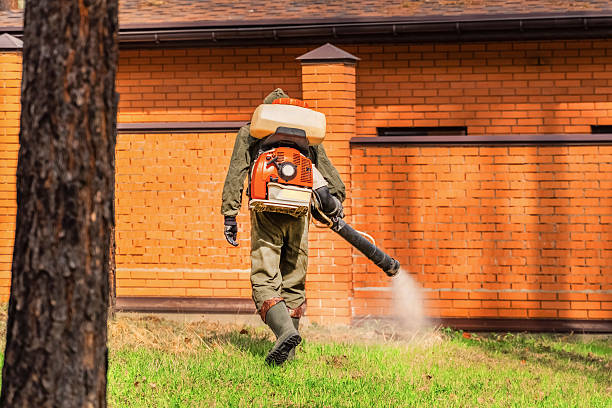 Bed Bug Clearance Verification and Documentation in Bellville